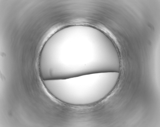 X0000090951429200708021052