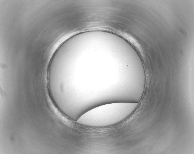 X0000090951431200708021052