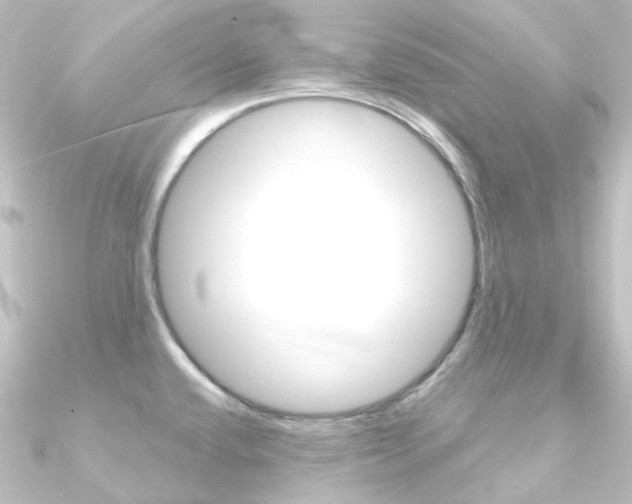 X0000090951432200708021052