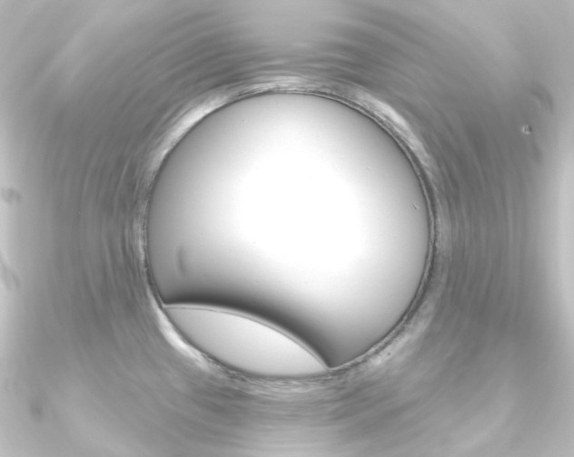 X0000090951433200708021052