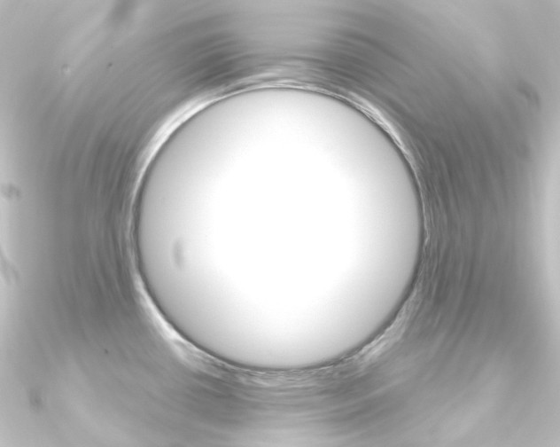 X0000090951434200708021052