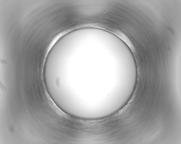 X0000090951436200708021052