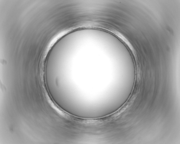 X0000090951437200708021052