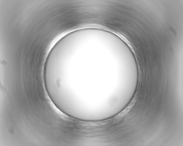 X0000090951438200708021052