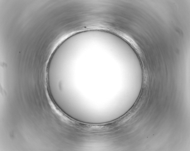 X0000090951439200708021052