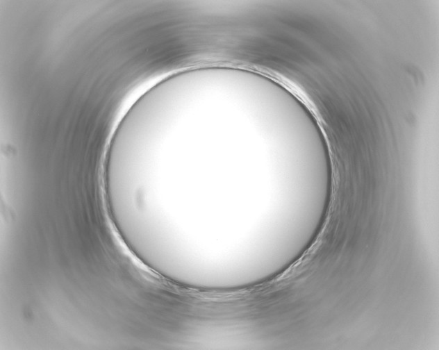 X0000090951440200708021052