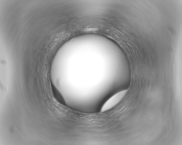 X0000090951441200708021051