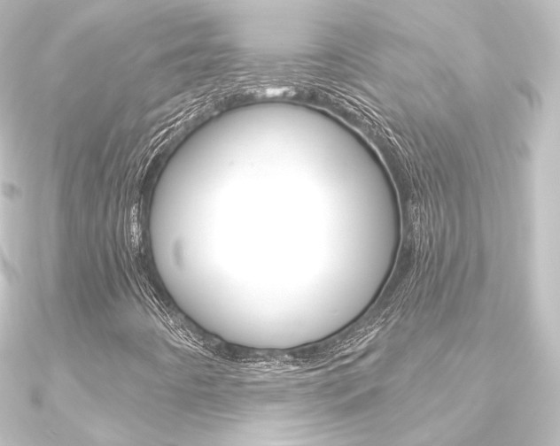 X0000090951442200708021051