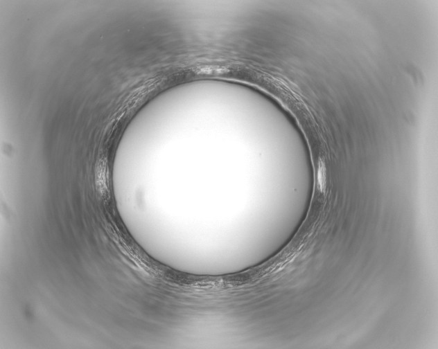 X0000090951444200708021051
