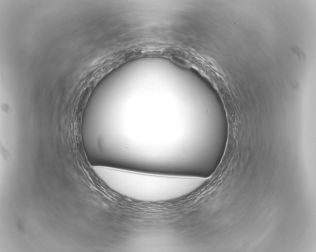 X0000090951445200708021051