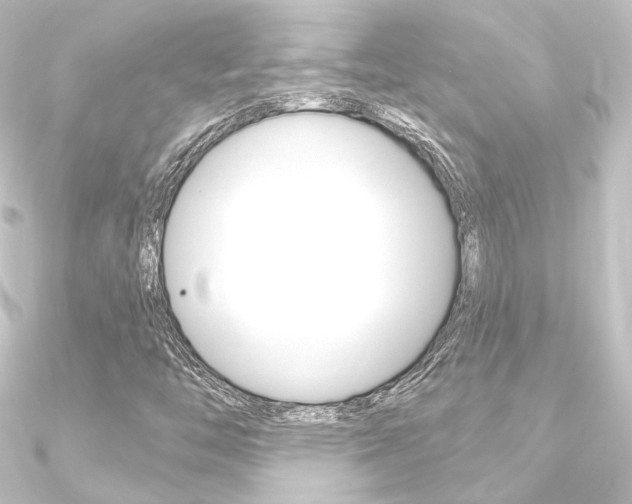 X0000090951446200708021051