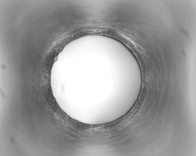 X0000090951447200708021051