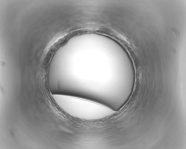 X0000090951448200708021051