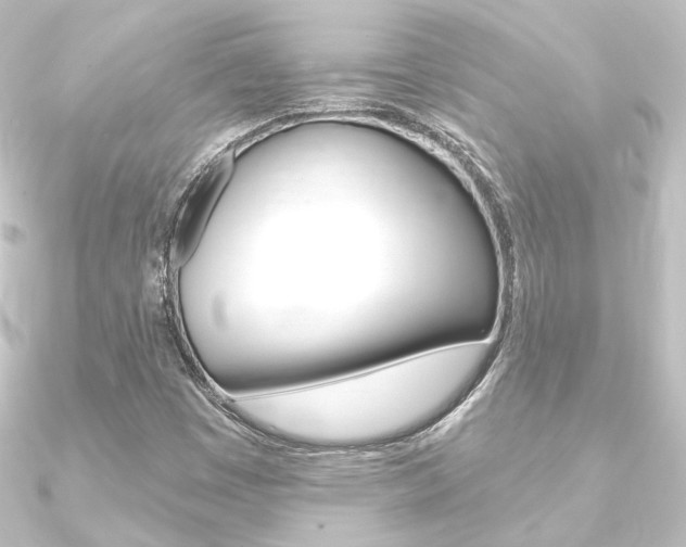 X0000090951449200708021051