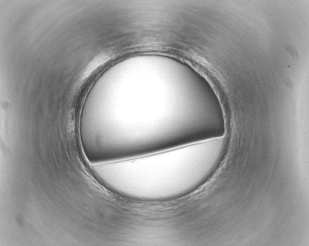 X0000090951450200708021051