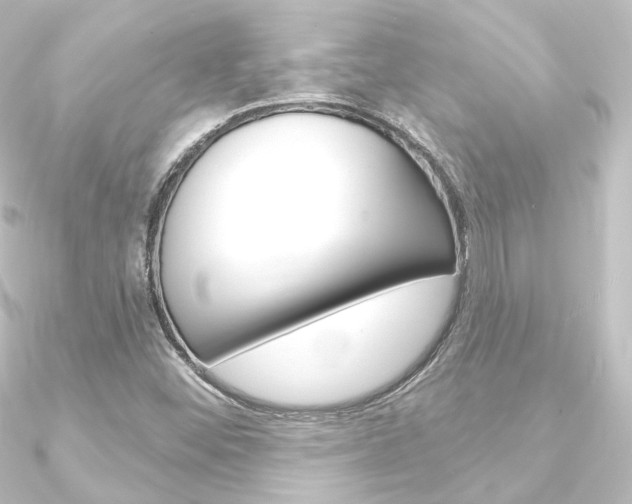 X0000090951452200708021051