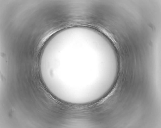 X0000090951453200708021051