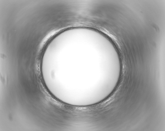X0000090951454200708021051