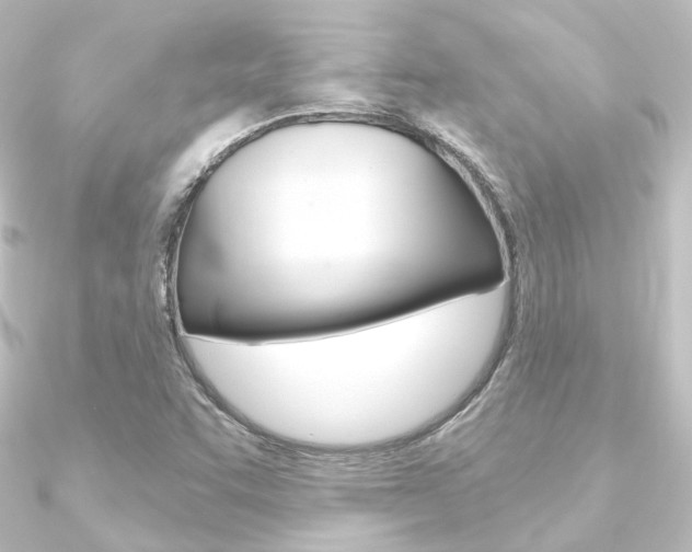 X0000090951455200708021051