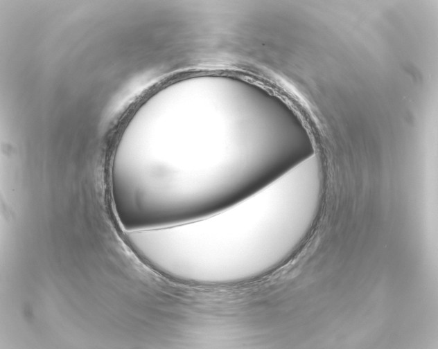 X0000090951456200708021051
