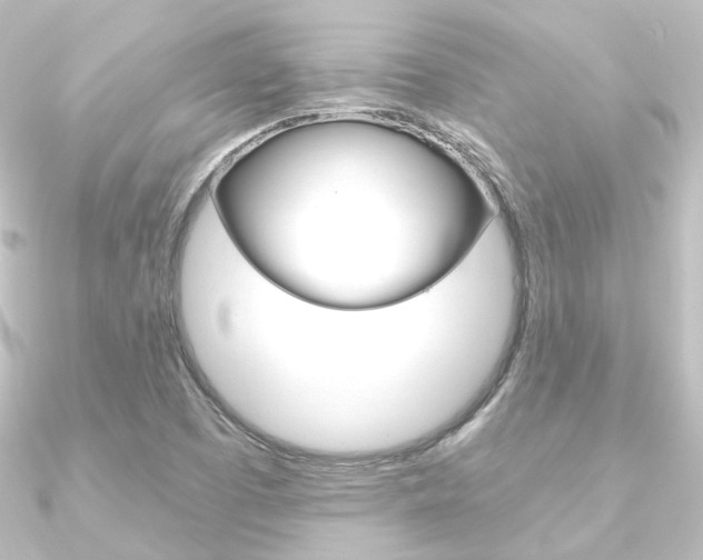 X0000090951457200708021051