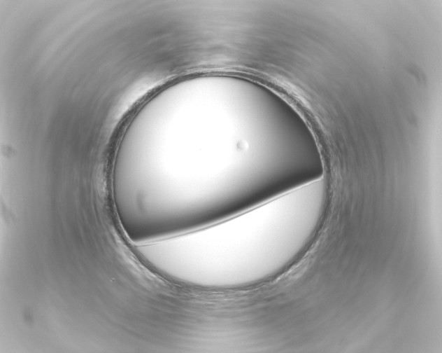 X0000090951458200708021051
