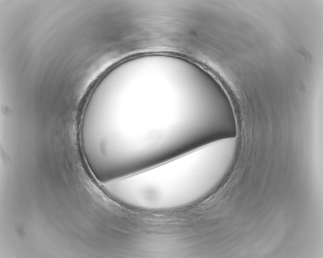 X0000090951460200708021051