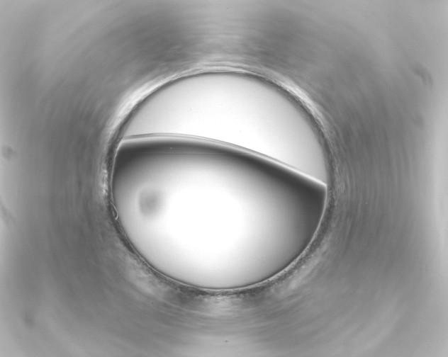 X0000090951461200708021051