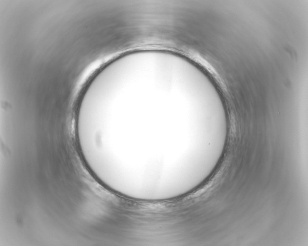 X0000090951462200708021051