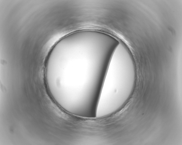 X0000090951463200708021051