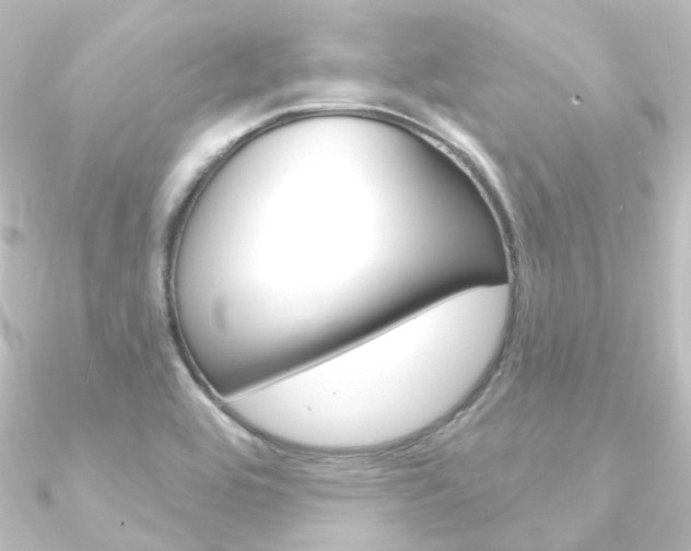 X0000090951464200708021051