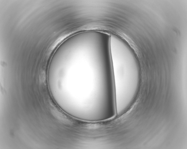 X0000090951465200708021051