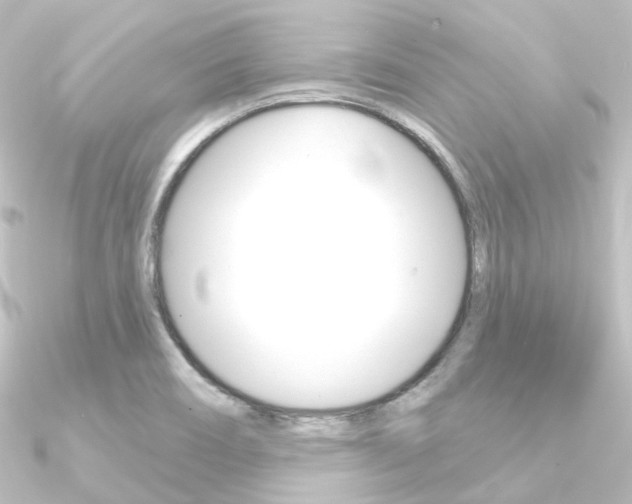 X0000090951466200708021051