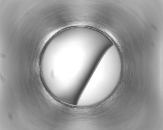 X0000090951468200708021051