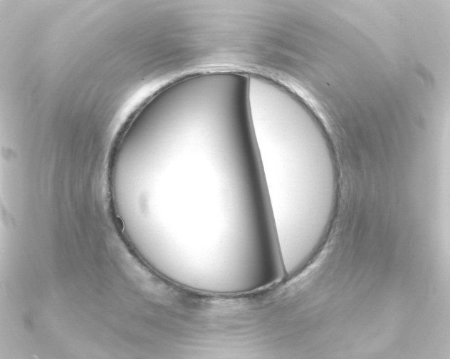 X0000090951469200708021051