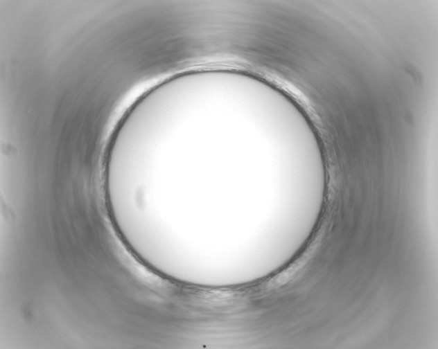 X0000090951470200708021051