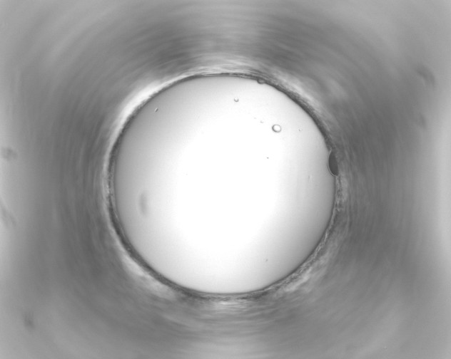 X0000090951471200708021051
