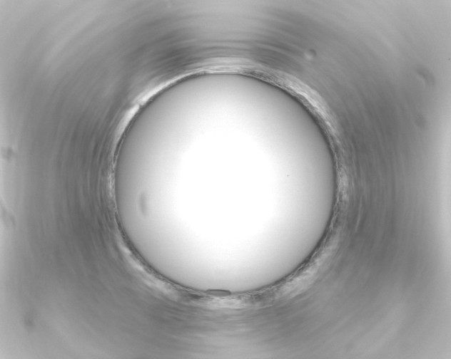X0000090951473200708021051