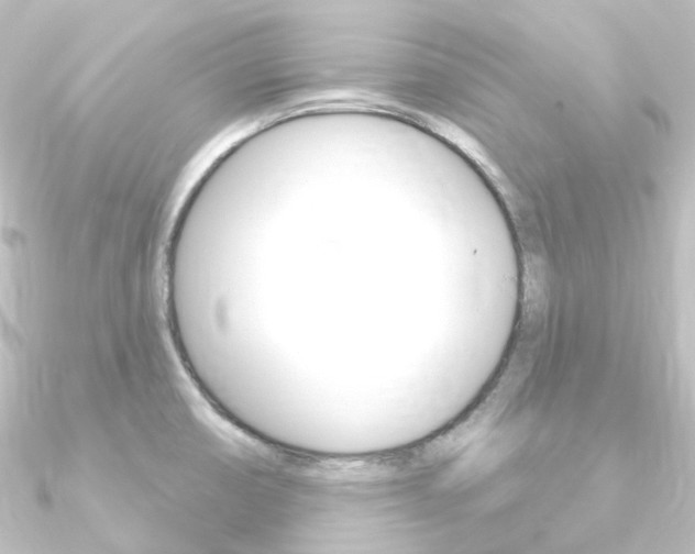 X0000090951474200708021051