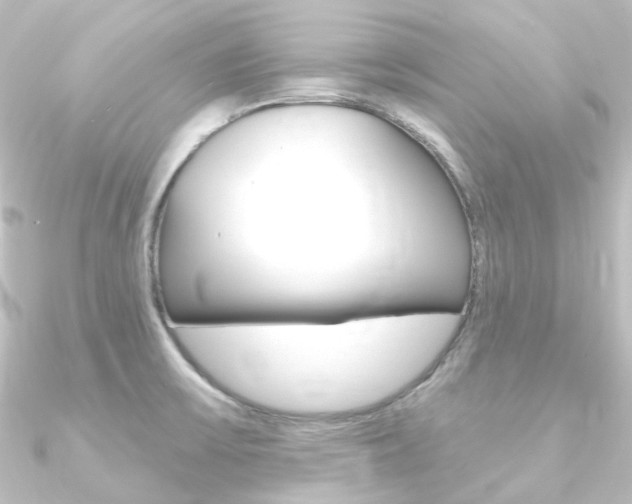 X0000090951475200708021051