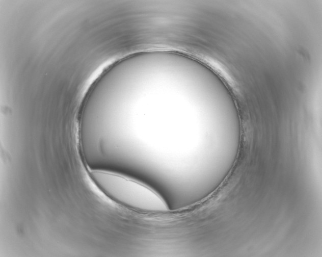 X0000090951476200708021051