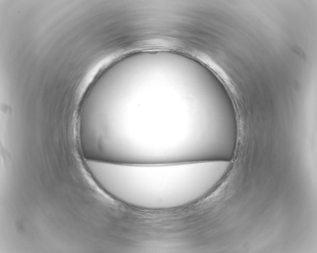X0000090951477200708021051