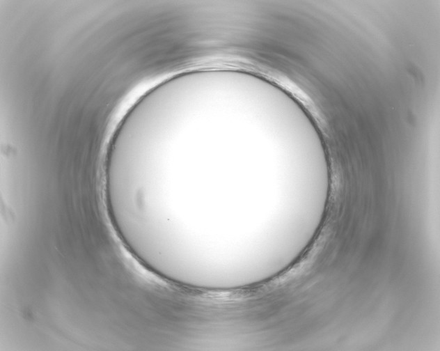 X0000090951478200708021051