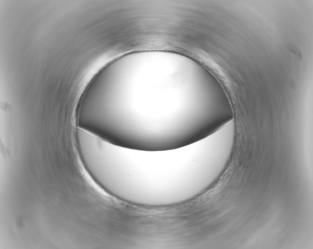 X0000090951479200708021051