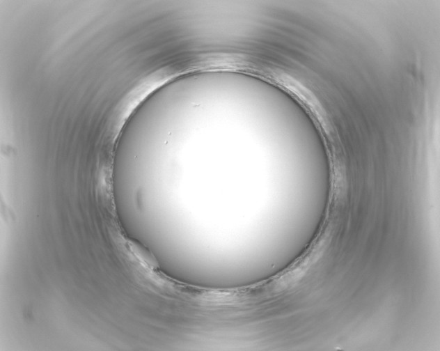 X0000090951481200708021051