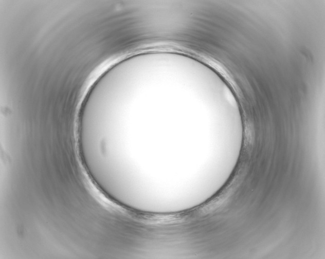 X0000090951482200708021051