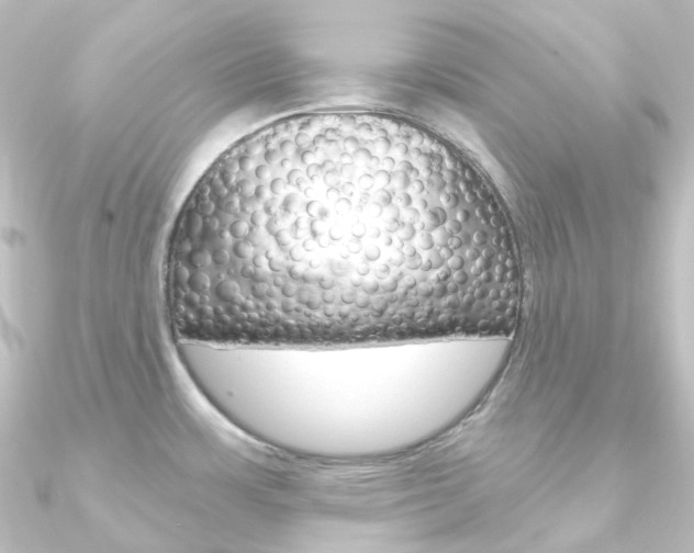 X0000090951483200708021051