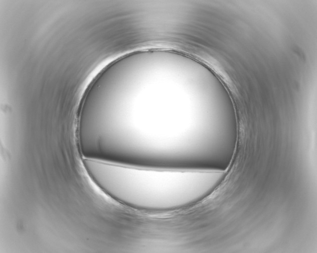 X0000090951484200708021051