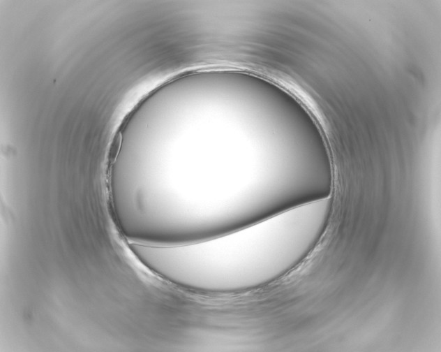 X0000090951485200708021051