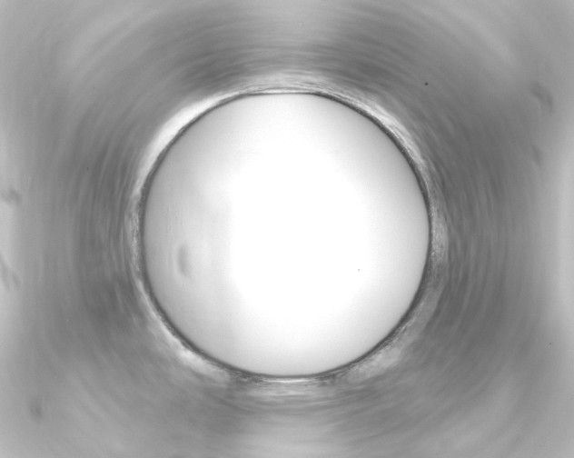 X0000090951486200708021051